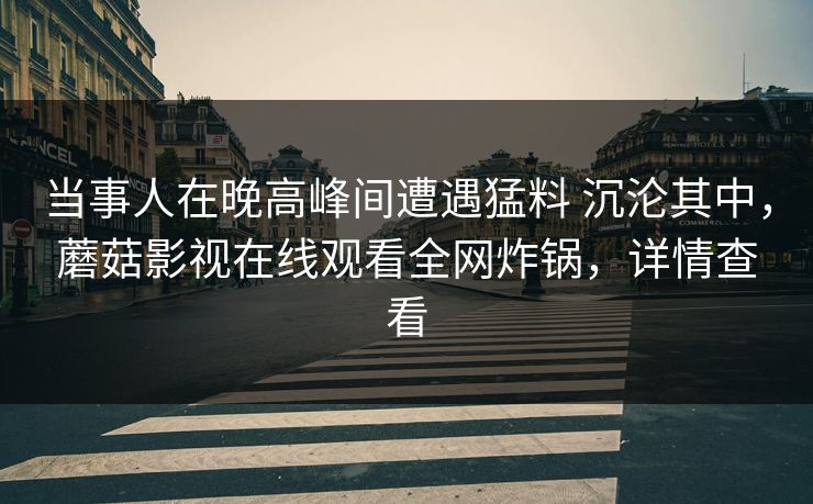 当事人在晚高峰间遭遇猛料 沉沦其中，蘑菇影视在线观看全网炸锅，详情查看