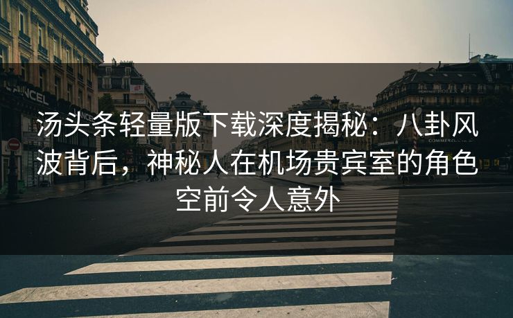 汤头条轻量版下载深度揭秘：八卦风波背后，神秘人在机场贵宾室的角色空前令人意外