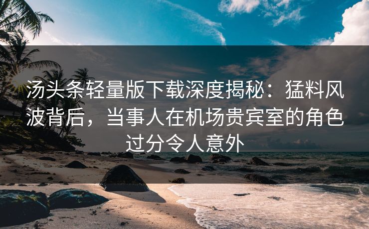 汤头条轻量版下载深度揭秘：猛料风波背后，当事人在机场贵宾室的角色过分令人意外